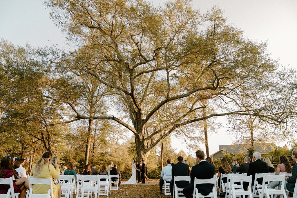 Wide shot of Bride and Groom hand in hand by big tree during Ceremony